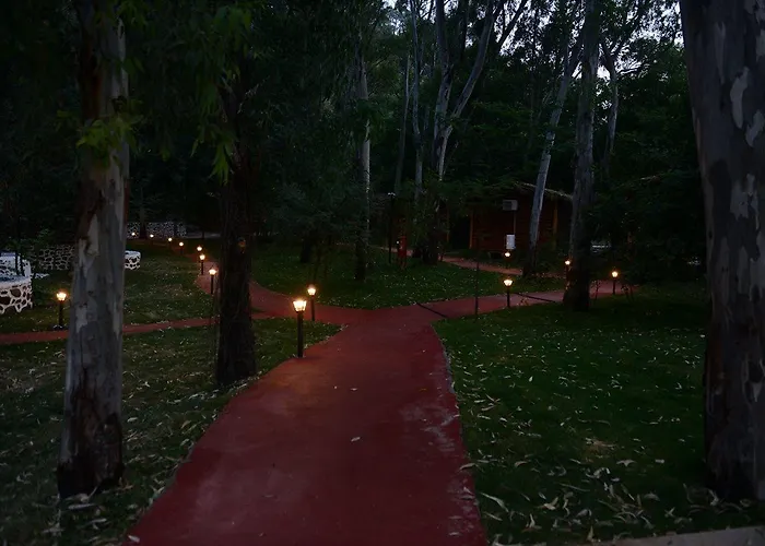 Отель Suna Village &